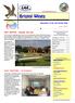 Bristol Wings. Newsletter of the LAA Bristol Wing. June NEXT MEETING - Thursday 10th June. LAST MEETING - Gyroplanes