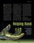 Helping Hand. Strategicissues. Auto-Recovery Design