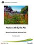Meadows in the Sky Area Plan. Mount Revelstoke National Park. for discussion