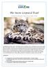 The Snow Leopard Trail