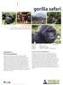 gorilla safari welcome to World Expeditions Africa trip highlights why travel with World Expeditions?