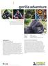 gorilla adventure welcome to World Expeditions Africa trip highlights why travel with World Expeditions?
