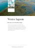 Venice lagoon. A three-day cruise led by Mauro Stoppa