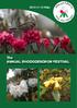 2013 (11-13 May) The ANNUAL RHODODENDRON FESTIVAL