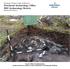 Department of Tourism, Culture and Recreation Provincial Archaeology Office 2012 Archaeology Review February 2013 Volume 11