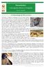 Newsletter. of the Egyptian Ministry of Antiquities. Issue 26 * July Archaeological Discoveries