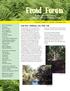 Frond Forum Florida Native Plant Society Cuplet Fern Chapter :: Seminole County
