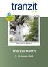 EARLY BIRD SPECIAL BOOK EARLY & SAVE! Waipoua Forest, Northland. The Far North