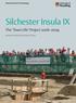 Department of Archaeology. Silchester Insula IX. The Town Life Project Michael Fulford & Amanda Clarke