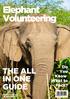 Elephant Volunteering