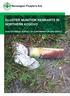 CLUSTER MUNITION REMNANTS IN NORTHERN KOSOVO NON-TECHNICAL SURVEY OF CONTAMINATION AND IMPACT