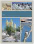 DRAFT. Draft California Desert Conservation Vision June Conservation Planning Services