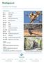 Madagascar. Naturetrek Tour Itinerary. Outline itinerary. Depart London. Day 1. Arrive Tana. Day 2. Antsirabe. Day 3. Ranomafana National Park.