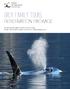 ORCA FAMILY TOURS RESERVATION PACKAGE