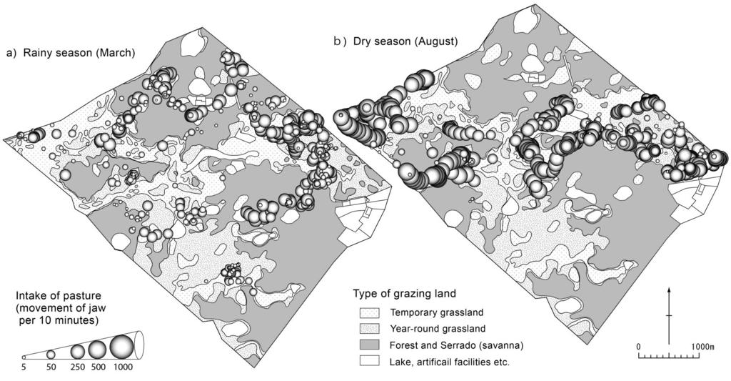 Fig. 9 Overlay of Land-use map and cows movement and intake of grass (March and August in 2005) [Reference]