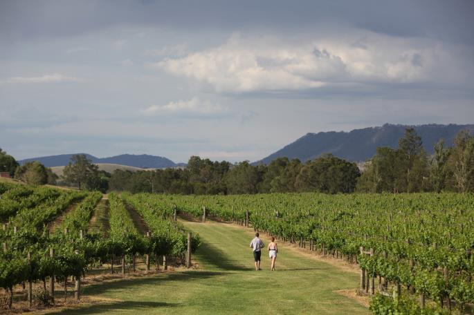After leaving the Park travel directly via the Freeway into the Hunter Valley to enjoy exclusive wine and cheese pairing at a boutique winery with stunning views.