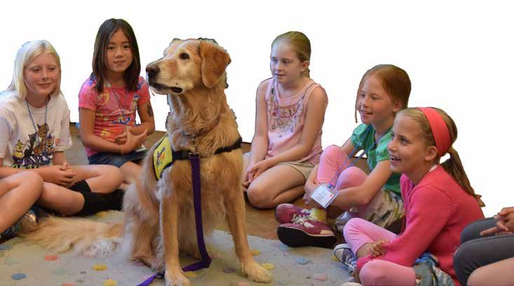 Will my child interact with ARF animals? Campers will interact with ARF Pet Hug Pack therapy animals on a daily basis.