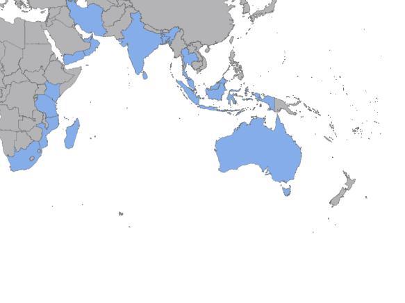INDIAN OCEAN RIM ASSOCIATION Vast, Vibrant and Dynamic Region Diverse Economy Tremendous Potentials 21 IORA Member Countries South Africa Australia Bangladesh Kenya India Indonesia Iran Madagascar