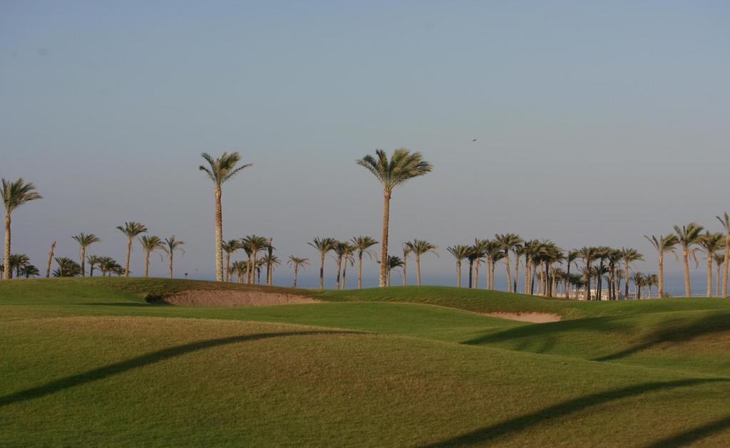 Sinai Golf