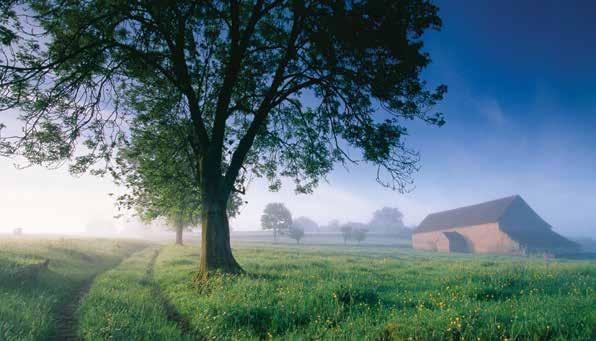 The mist-covered landscapes and historic sites of Burgundy and the Loire Valley are largely undisturbed, and the quiet and stillness that envelop them make the region a wonderful escape from the