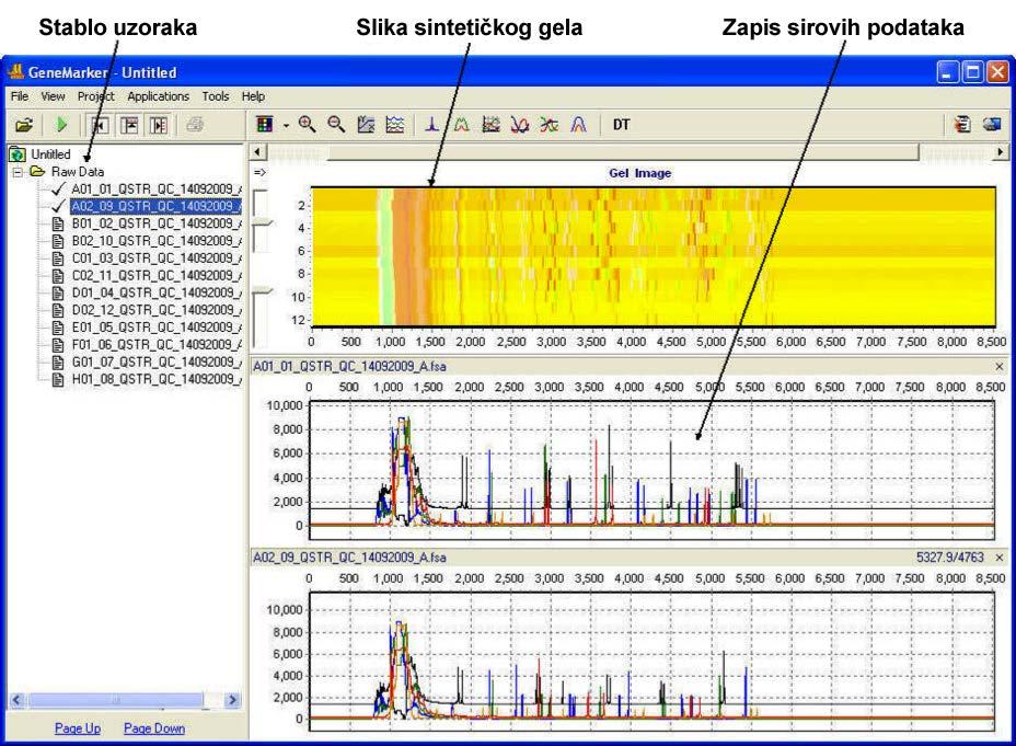Slika 2: Prozor Raw Data Analysis (Analiza