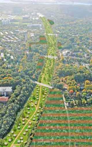 THE HAMBURG APPROACH: Hamburg increases its green areas.