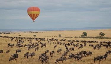 DAY FOUR: Serengeti National Park Your Balloon Safari adventure starts early morning when you depart your lodge