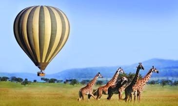Launching at dawn, rising as the sun rises, you gently float over the plains of the magnificent Serengeti.