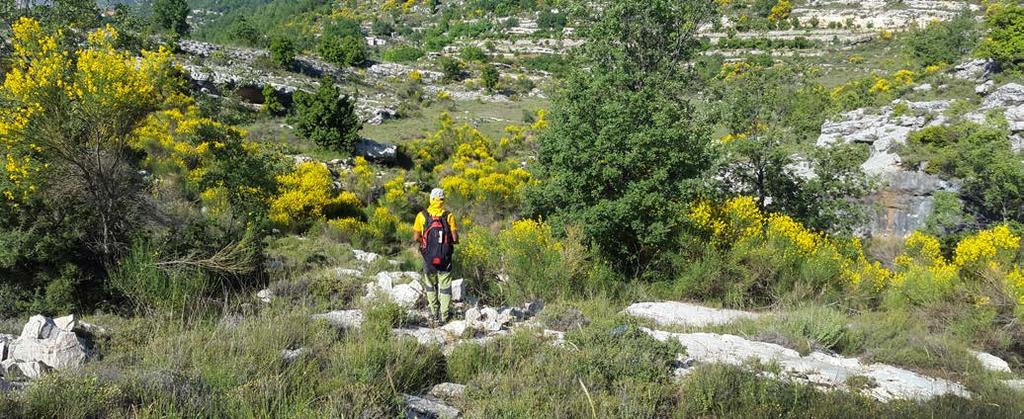 TRAIL & CONSERVATION A NEW SIDE TRAIL IS BORN: BKASSINE IS ON THE LMT Christian Akhrass - Bkassine-Jezzine Maintaining all sections of the Lebanon Mountain Trail has been, and continues to be, a big