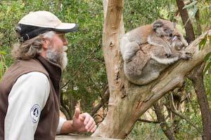 Rangers explore the koala s s special features; including their two thumbs, fur and upside down pouch.