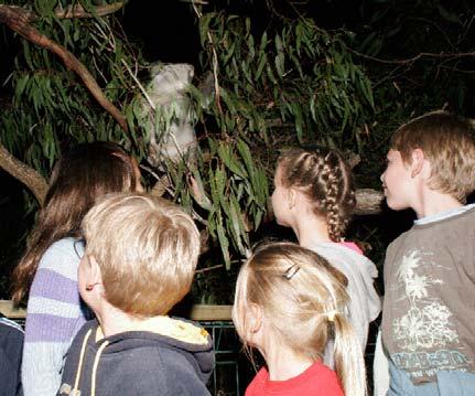 it s s all about stories at night! Wildlife Stories (VELS levels 1-4) 1 Rangers engage students with amazing facts and Australian wildlife.