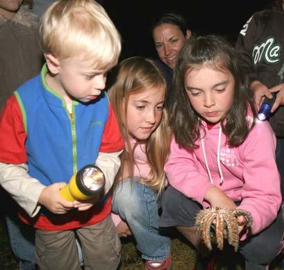 Location: At your camp Mystery Spotlight (VELS levels 3-4) 3 During this ranger led activity students explore the amazing nocturnal animals of the Australian bush.