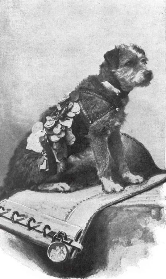 WHO IS OWNEY THE DOG? So many people added tags to Owney s collar that Postmaster General John Wanamaker gave him a jacket on which to display his collection.