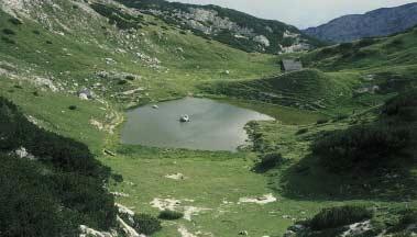 Slika 4: Velika Planina na planoti Velike planine je najvi{je le`e~e samostojno naselje v Sloveniji.