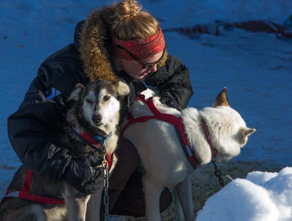 4135 and reserve your dog sledding spot for the winter! Long, short, and private group rides available.
