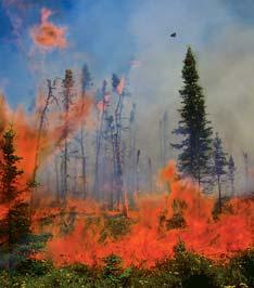 Their mission is the same: stop wildfires before their destructive energy destroys the