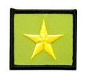 00 SERVICE star PINS AVAILABLE: 10 YEARS 15 YEARS