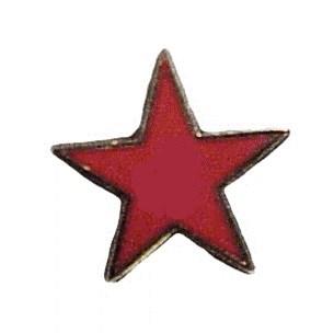 Service Star Pin Master Guide Combination Chevron