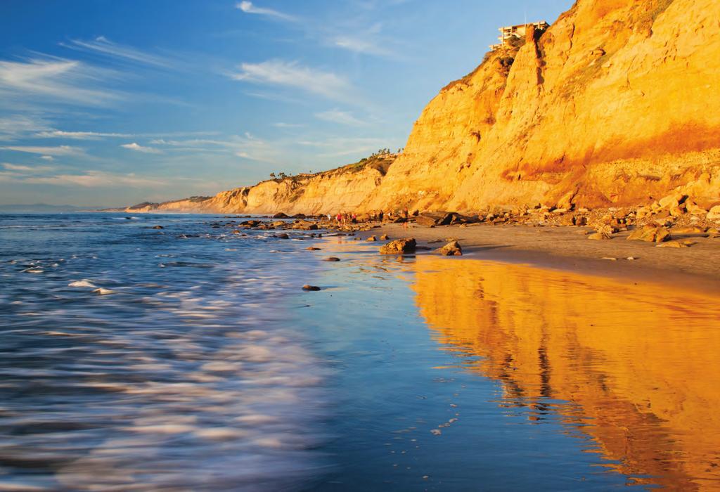 THE BEACHES Miles of beach stretch from the golden cliffs of Torrey Pines to the piers and sea caves of La Jolla.