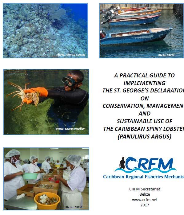 Management of Caribbean Spiny Lobster Most important