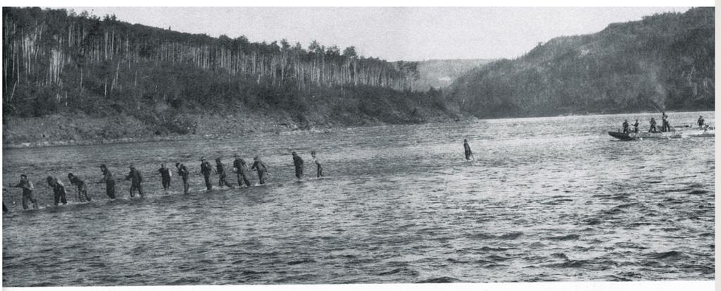 Canada field party hauling a scow up the Athabasca River, 1914.