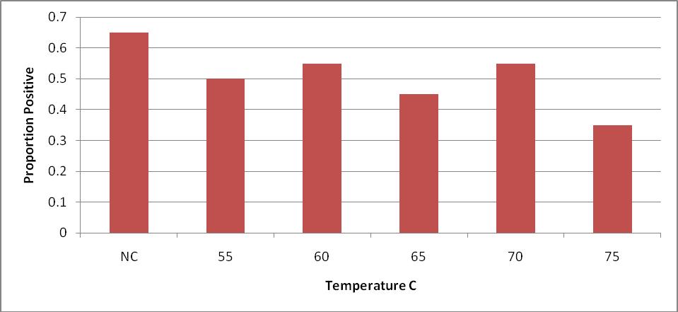 Figure 5. Proportion of internal steak samples positive for E. coli O157:H7 inoculated steaks after 28 days of storage under refrigerated conditions.
