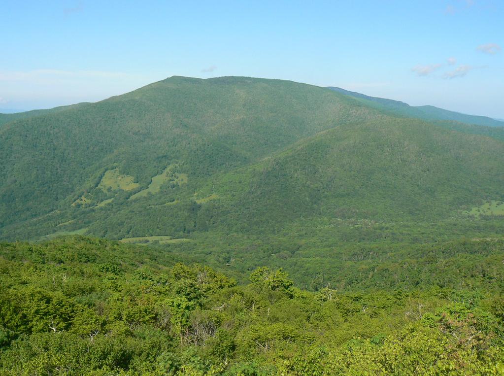 National Trails System Land and Water Conservation Fund FY2014 Roan Mountain Trails Pisgah National Forest North Carolina Project Details: LWCF Request: $750,000 Congressional District: NC-11,