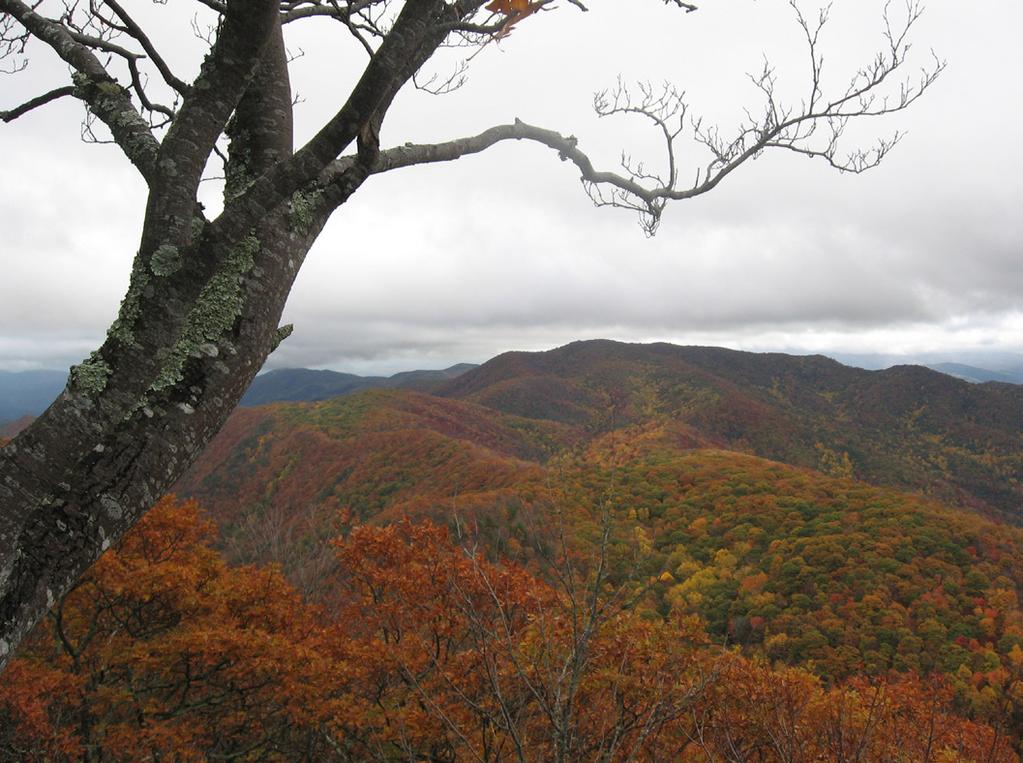 National Trails System Land and Water Conservation Fund FY2014 Rich Mountain Cherokee National Forest Tennessee Project Details: LWCF Request: $700,000 Congressional District: TN-1, Representative
