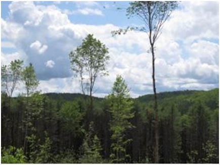 National Trails System Land and Water Conservation Fund FY2014 Newton Lane Green Mountain National Forest, Vermont Project Details LWCF Request: $200,000 Congressional District: VT, Representative