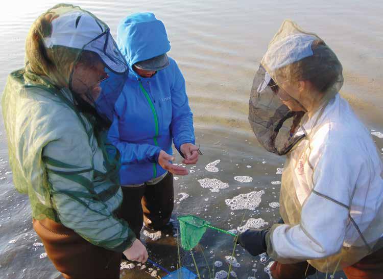 DAILY LIFE IN THE FIELD PLANS FOR YOUR TEAM You ll get plenty of learning opportunities on this expedition: you may hear talks on local permafrost landforms, the ecology of polar bears, whales,