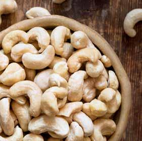 WEST AFRICA, A DYNAMIC CASHEW PRODUCTION AREA WESTERN SAHARA MAURITANIA Among the main cashew production areas, West Africa is the most recent and dynamic in the world.