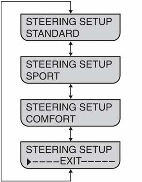 U izborniku Advanced dostupni su slijedeći podizbornici/opcije: Steering setup (Podešenje upravljača) Automatic transmission setup (podešenje automatskog mjenjača) Advanced Exit (izlazak iz izbornika