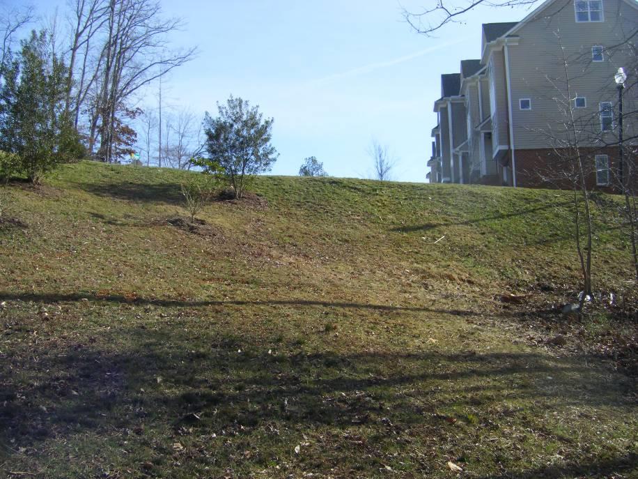 Slope from the north end of the Rosewalk