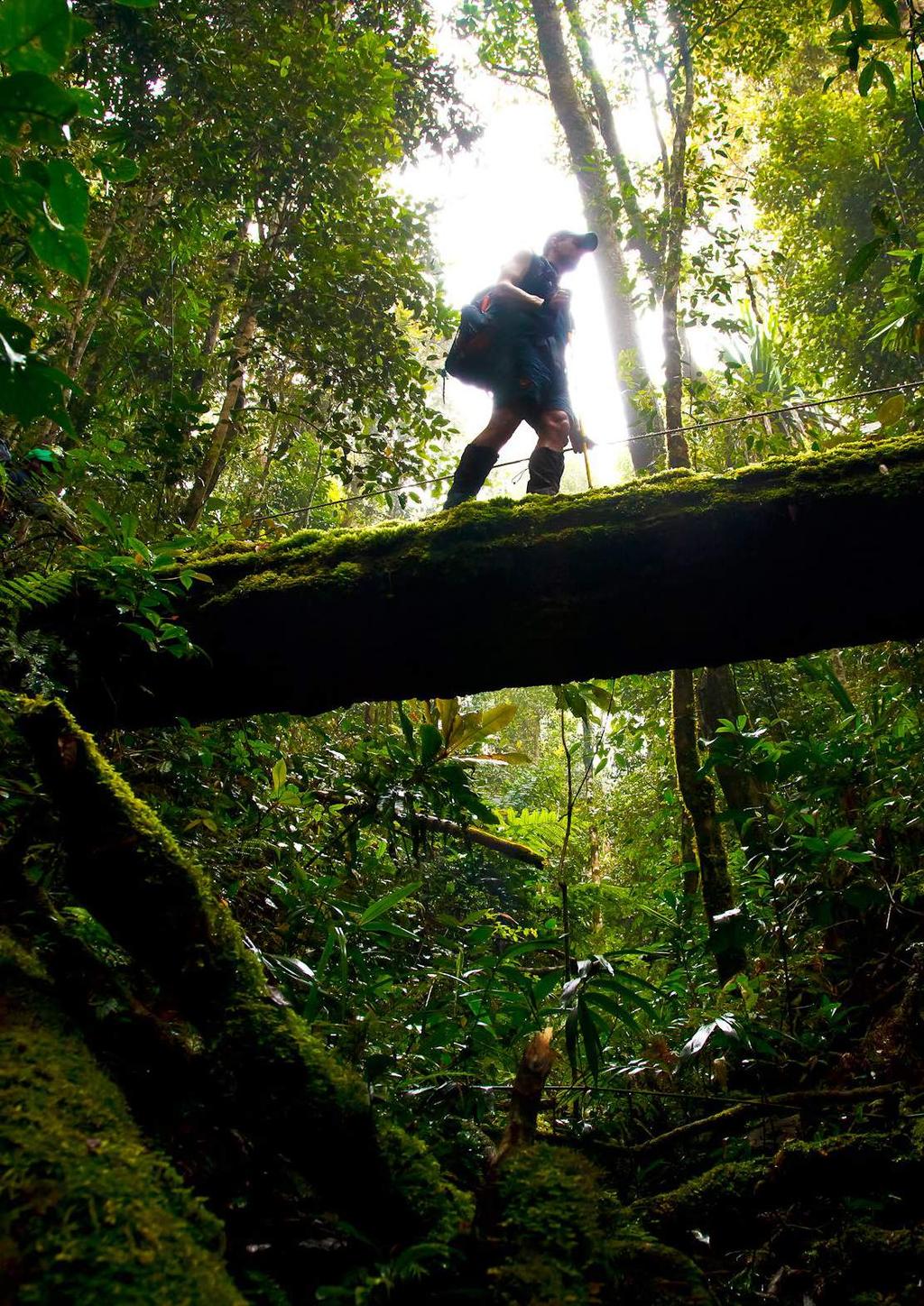 WHY TREK WITH US? PNG Trekking Adventures have been inbound tour operators in Papua New Guinea since 2003.